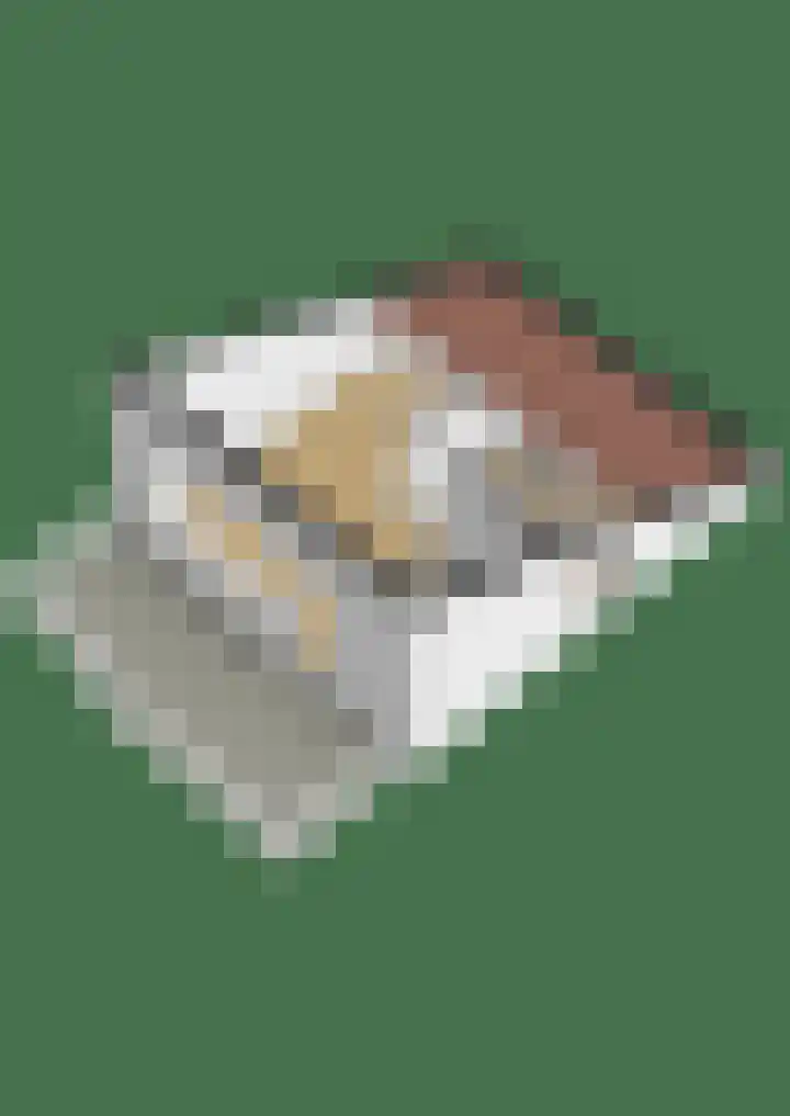 Wetterkrite 22 Goutum thumbnail 64