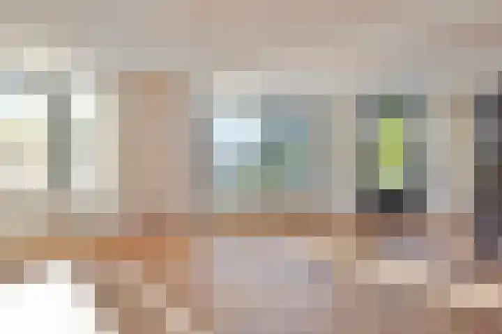 Wetterkrite 3 Goutum thumbnail 12