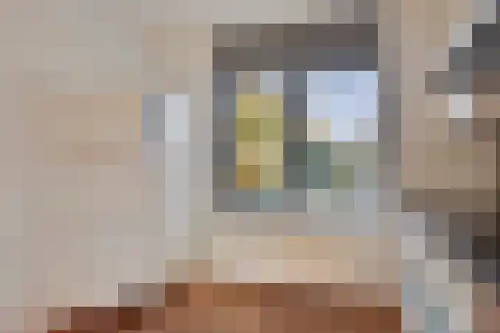 Wetterkrite 3 Goutum thumbnail 19