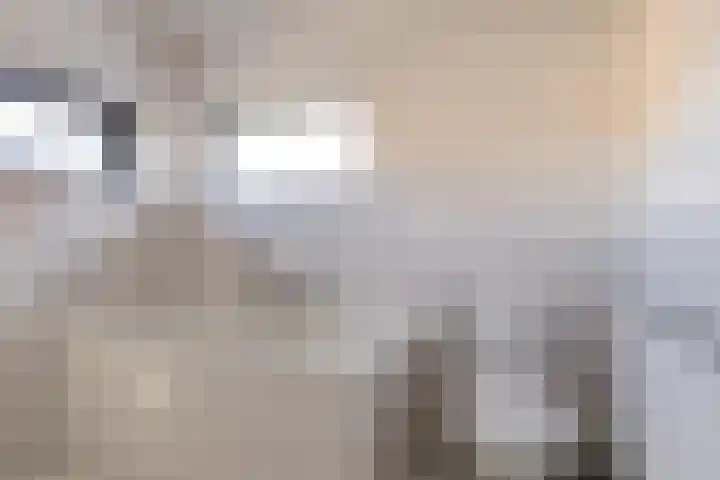 Wetterkrite 3 Goutum thumbnail 24