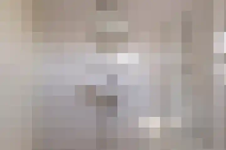 Wetterkrite 3 Goutum thumbnail 25