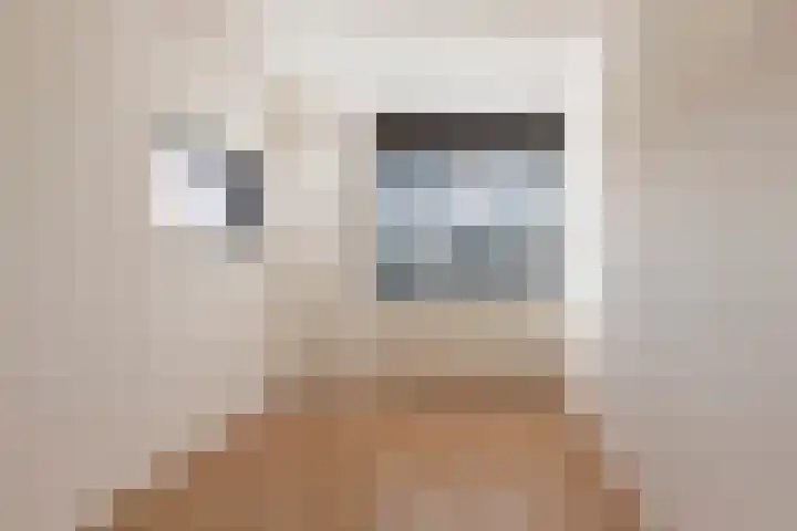 Wetterkrite 3 Goutum thumbnail 28
