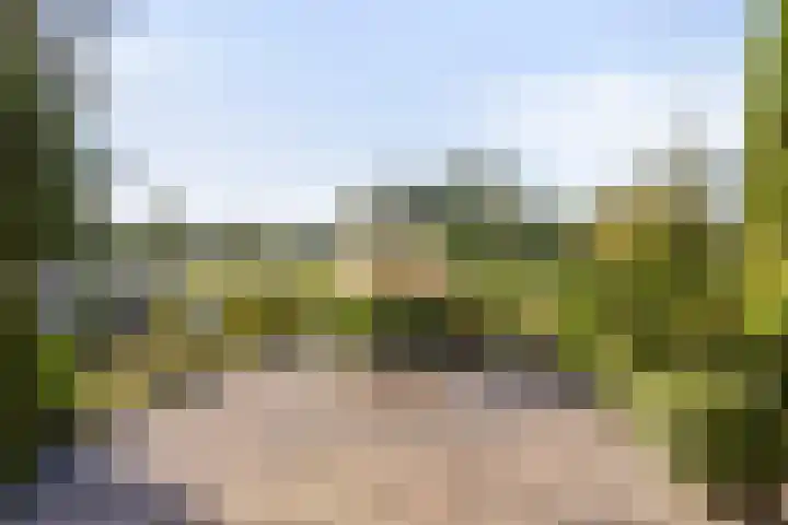 Wetterkrite 3 Goutum foto 3