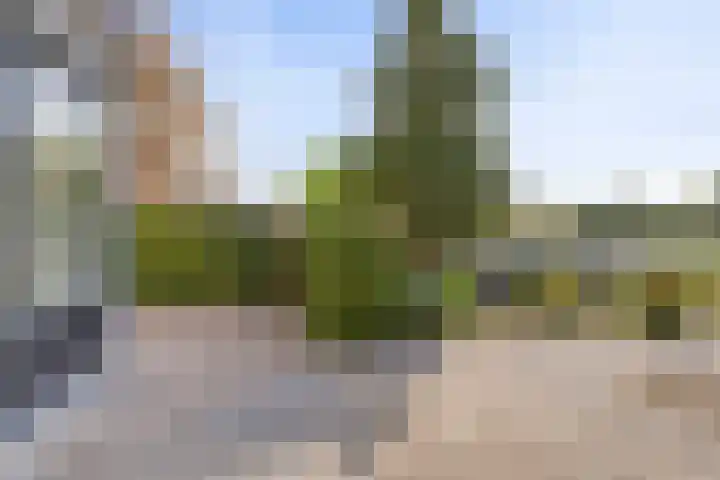 Wetterkrite 3 Goutum thumbnail 7
