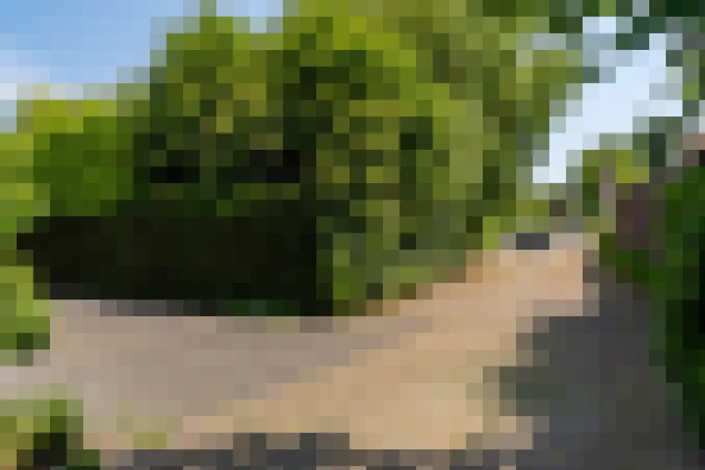 Wetterkrite 33 Goutum thumbnail 10