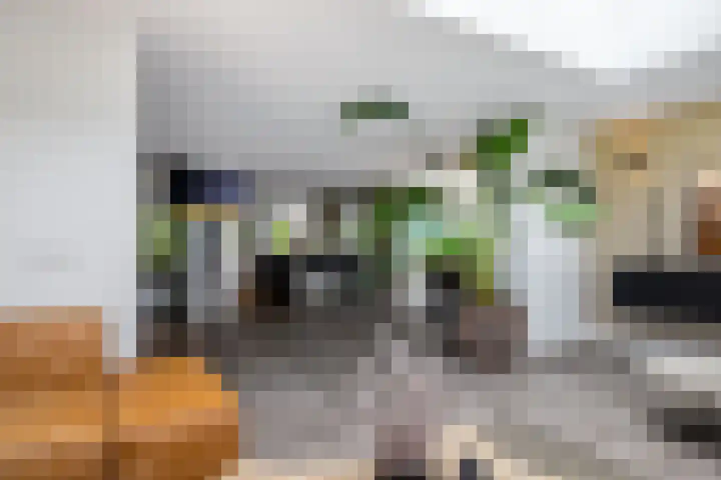 Wetterkrite 33 Goutum thumbnail 18