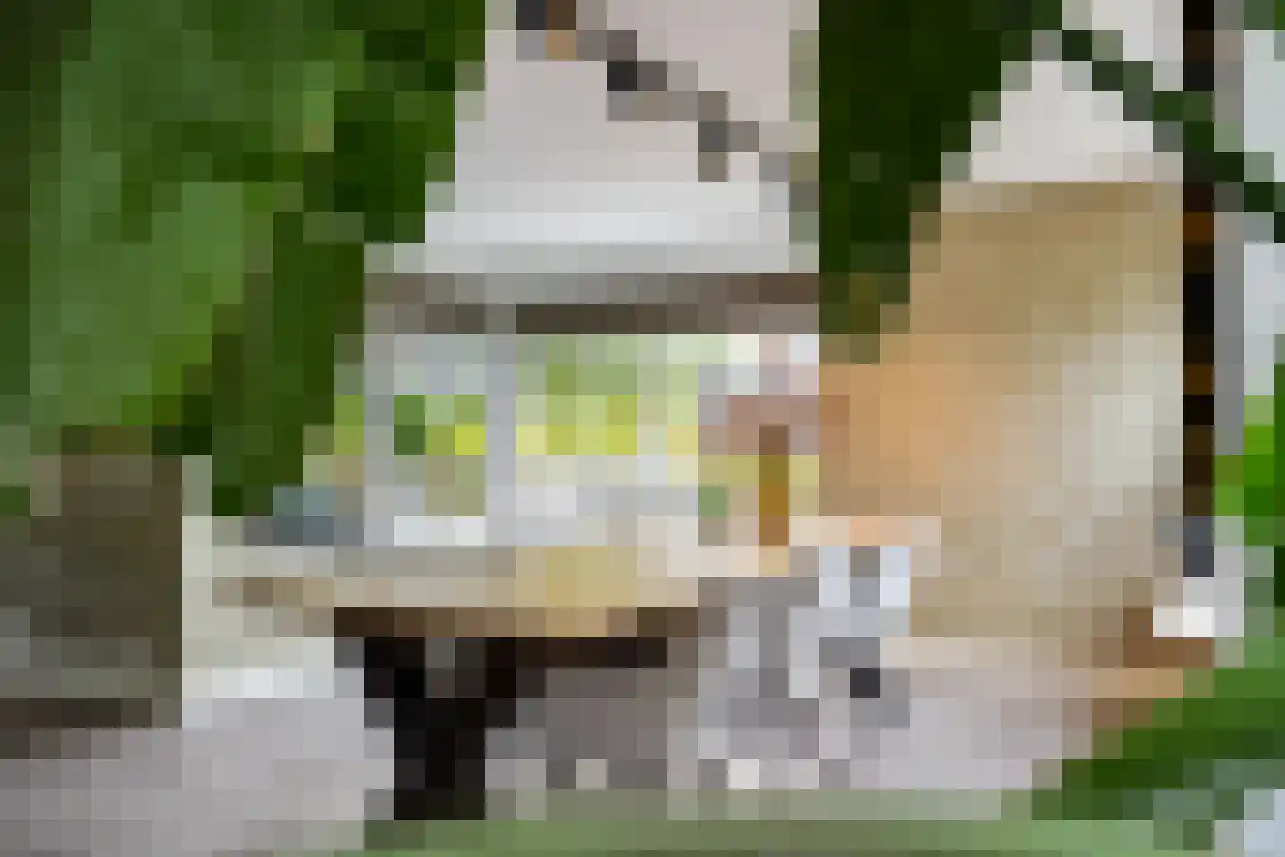 Wetterkrite 33 Goutum thumbnail 21