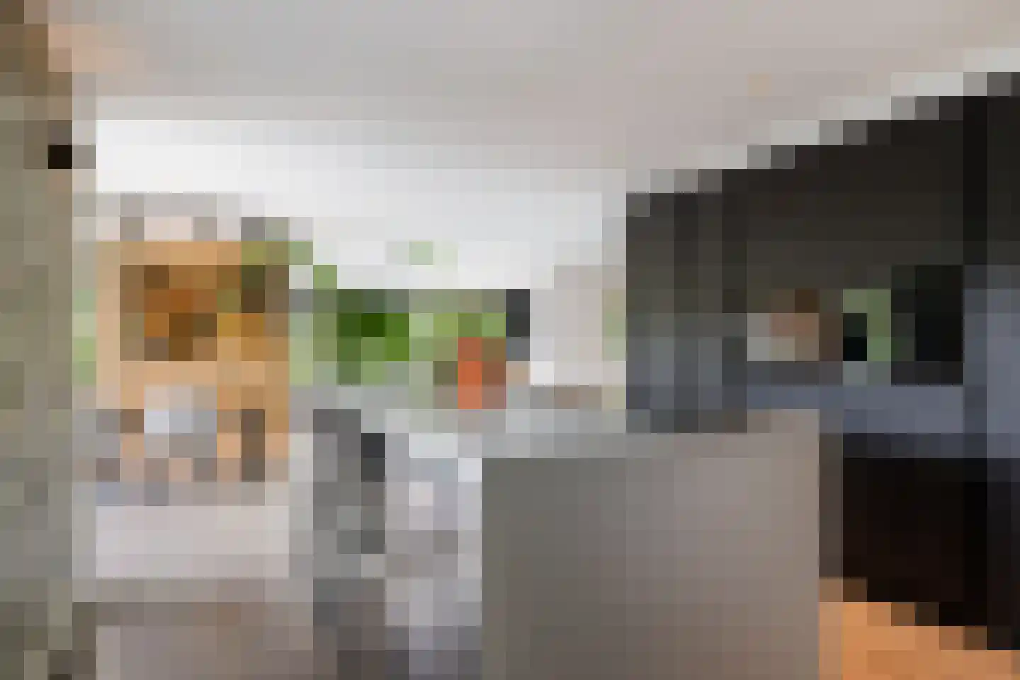 Wetterkrite 33 Goutum thumbnail 24