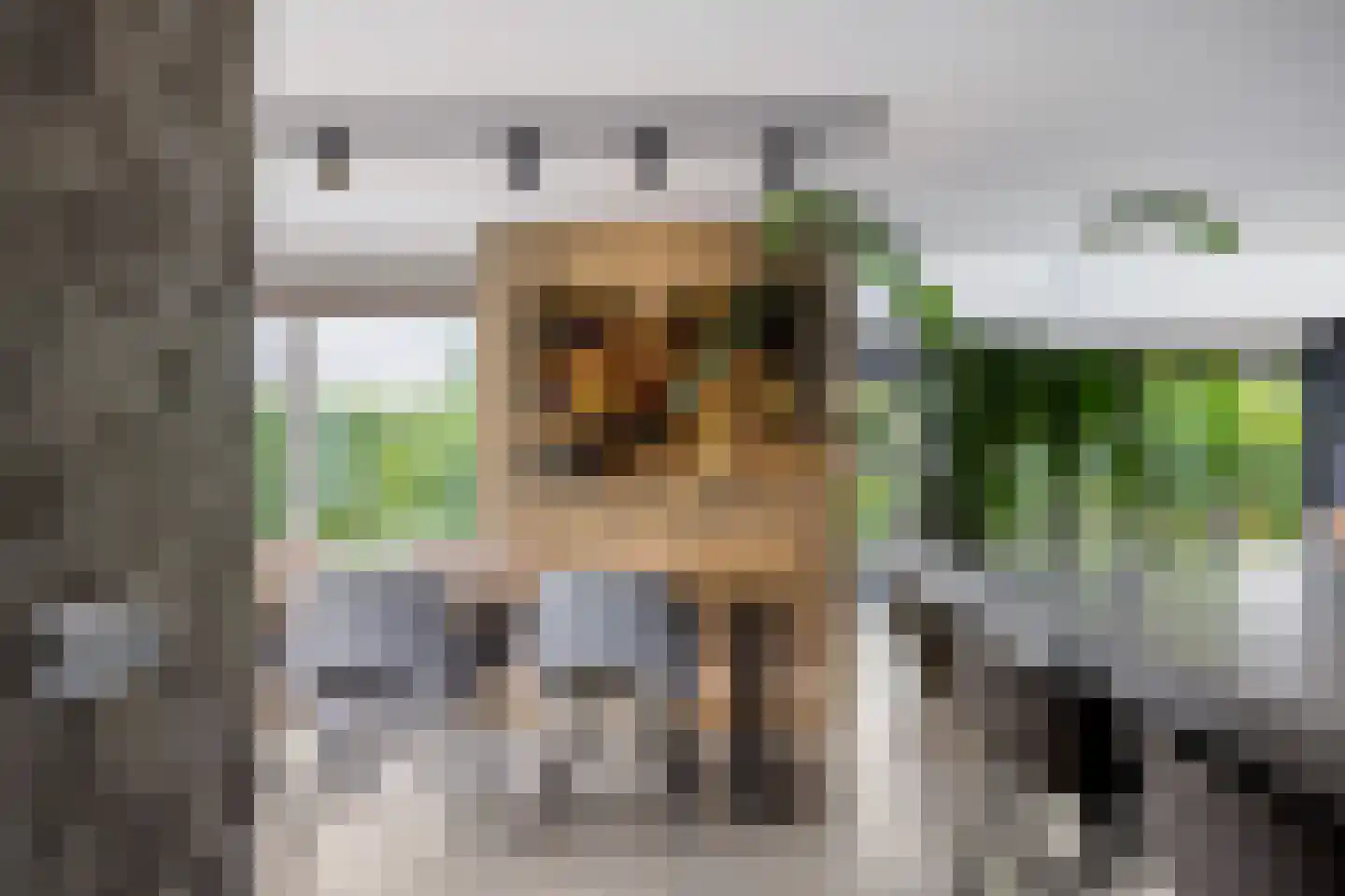 Wetterkrite 33 Goutum thumbnail 26