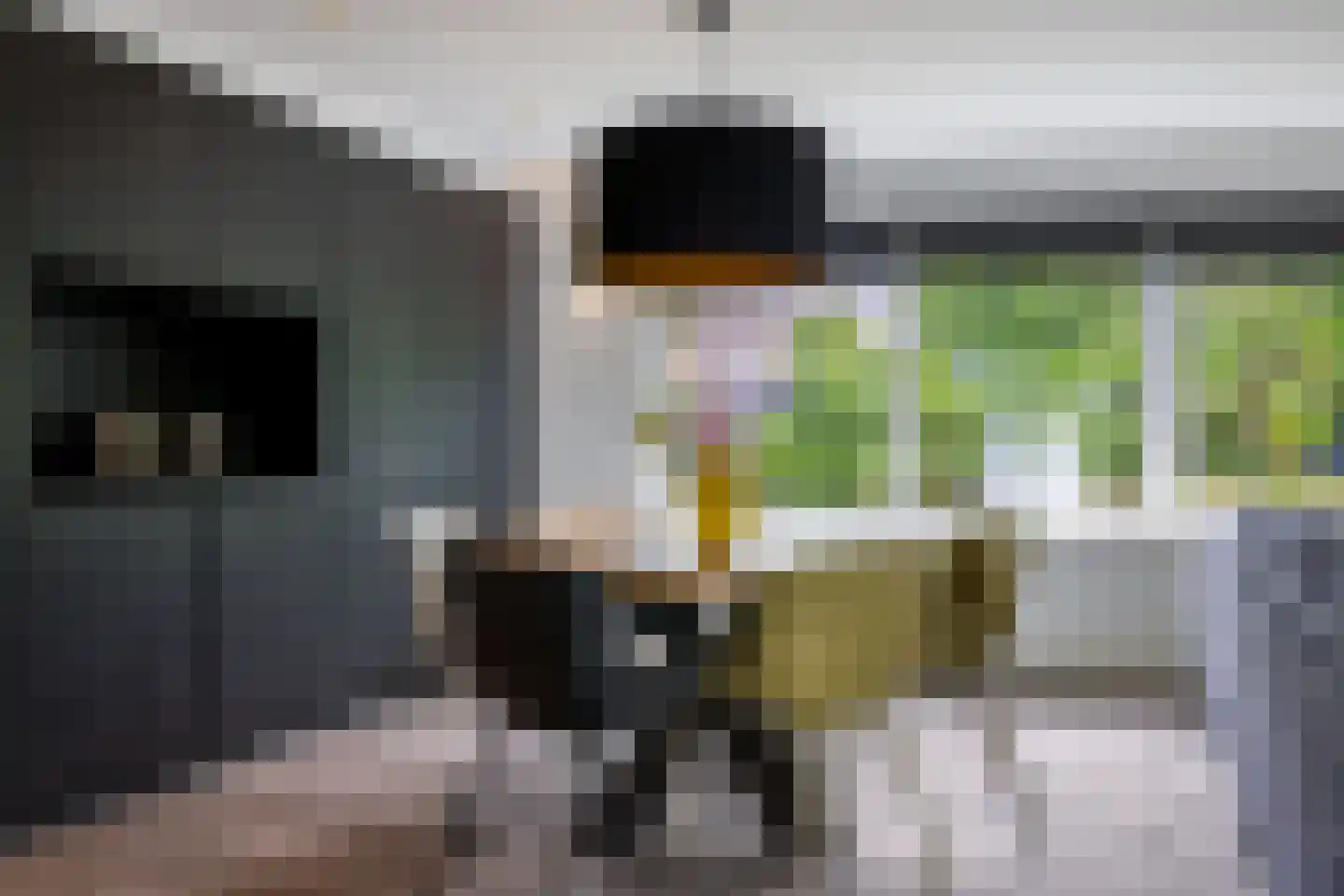 Wetterkrite 33 Goutum thumbnail 29