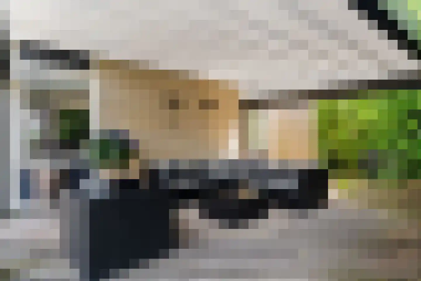 Wetterkrite 33 Goutum thumbnail 34