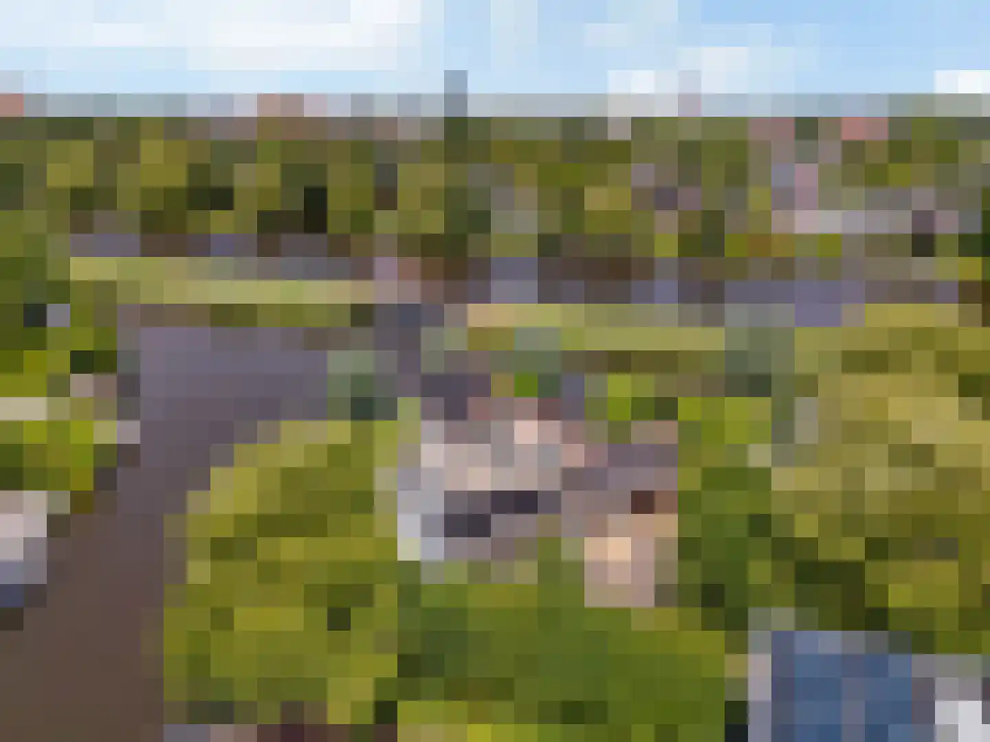 Wetterkrite 33 Goutum thumbnail 4