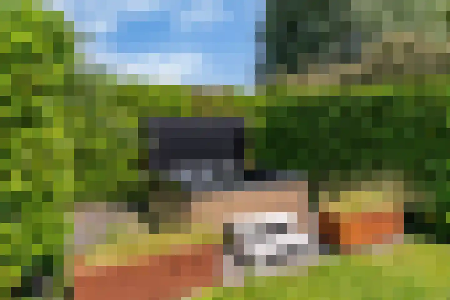 Wetterkrite 33 Goutum thumbnail 45