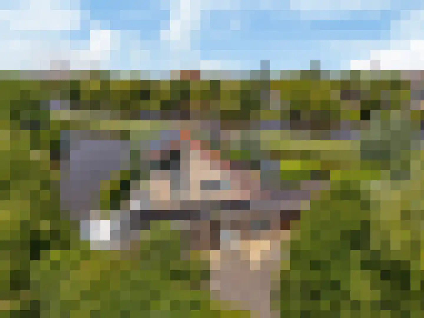 Wetterkrite 33 Goutum thumbnail 5