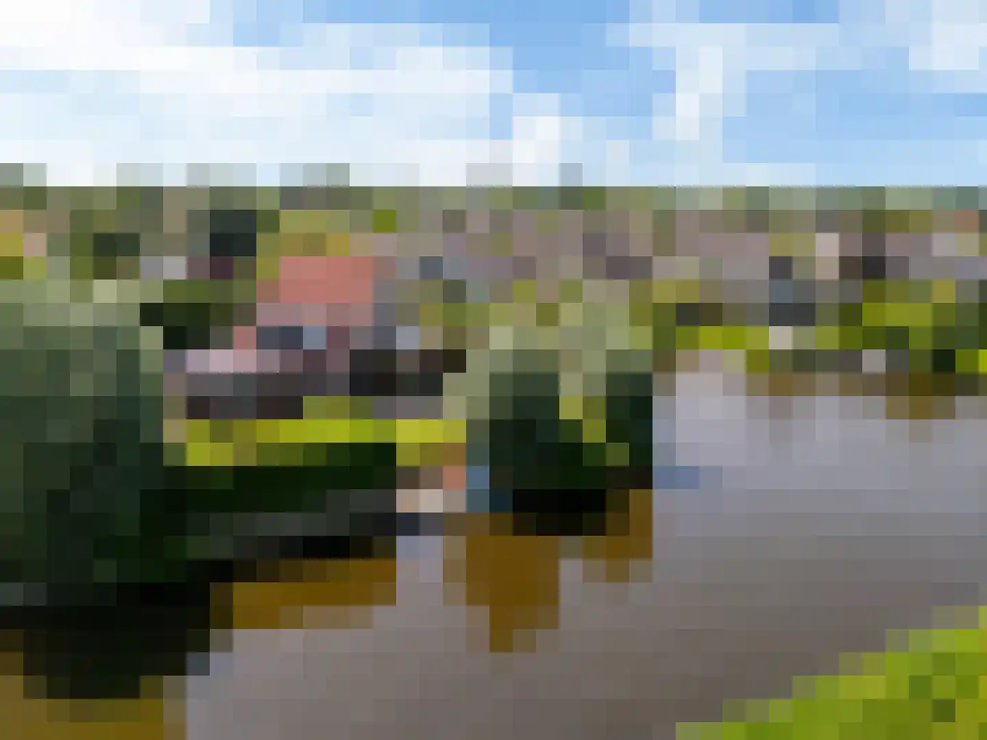 Wetterkrite 33 Goutum thumbnail 6