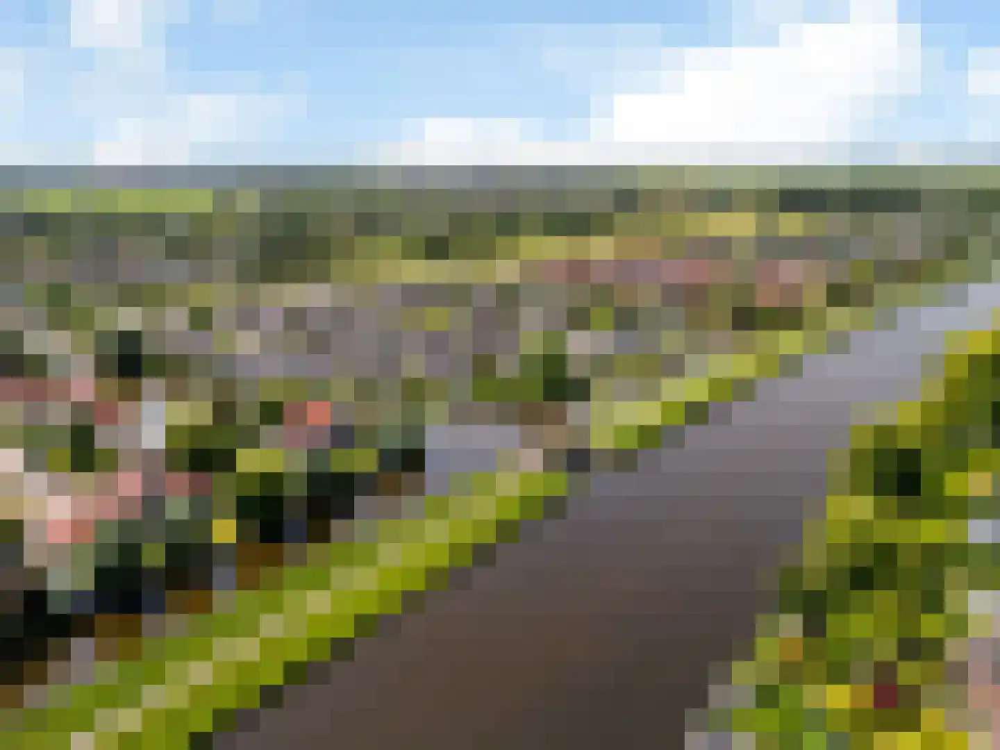 Wetterkrite 33 Goutum thumbnail 69