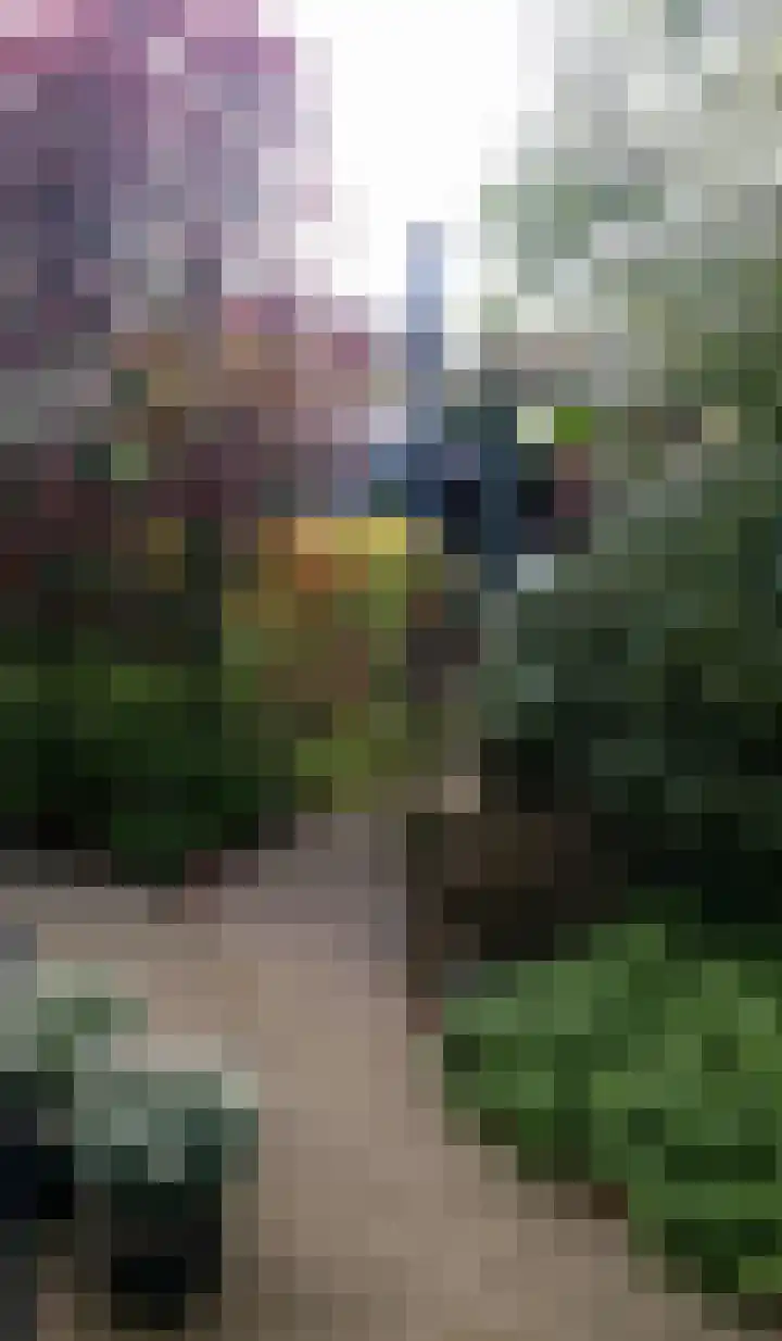 Wettermunt 14 Burgum thumbnail 10