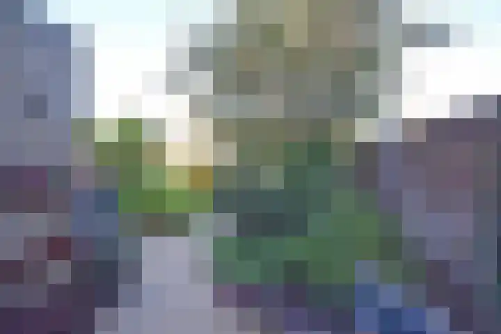 Wettermunt 14 Burgum thumbnail 11
