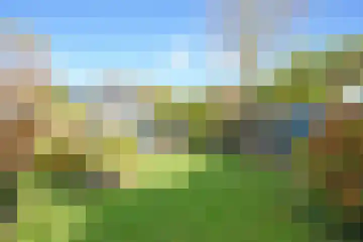 Wettermunt 14 Burgum thumbnail 15
