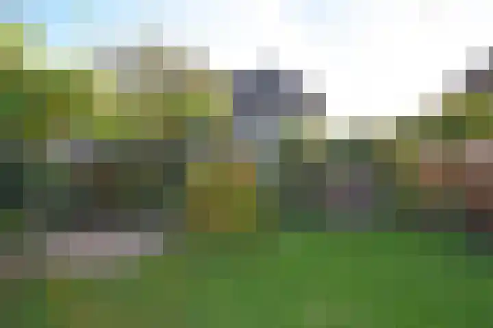 Wettermunt 14 Burgum thumbnail 16