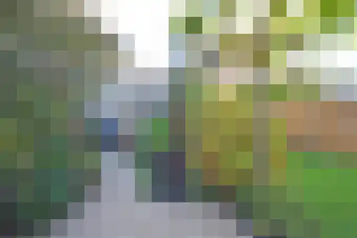 Wettermunt 14 Burgum thumbnail 17