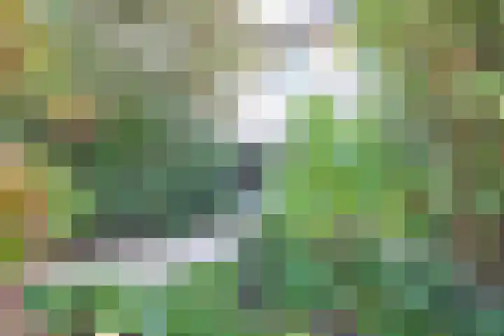 Wettermunt 14 Burgum thumbnail 18