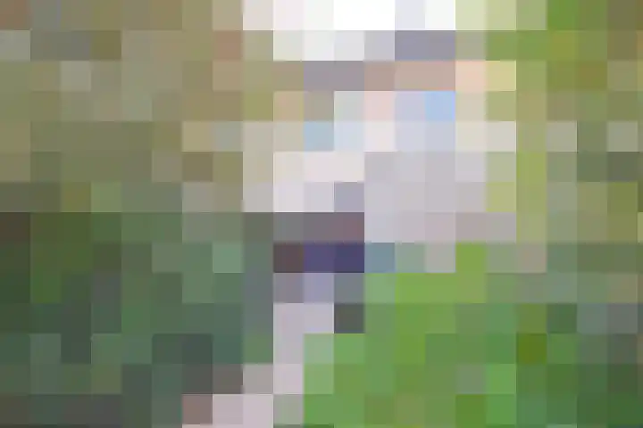 Wettermunt 14 Burgum thumbnail 19