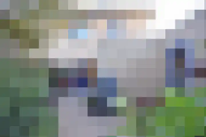 Wettermunt 14 Burgum thumbnail 7
