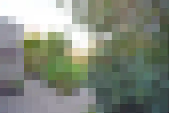 Wettermunt 14 Burgum thumbnail 9