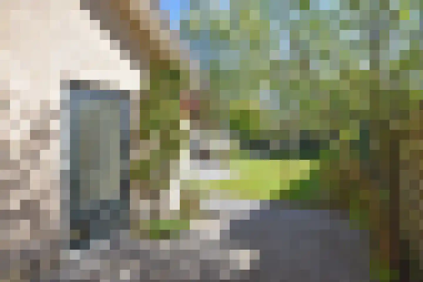 Wettermunt 37 Burgum thumbnail 16