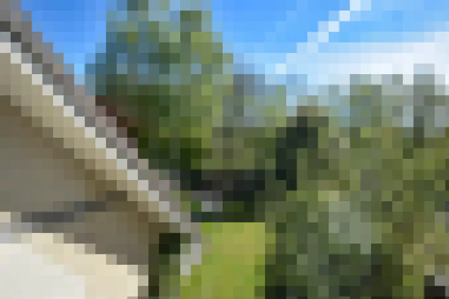 Wettermunt 37 Burgum thumbnail 17