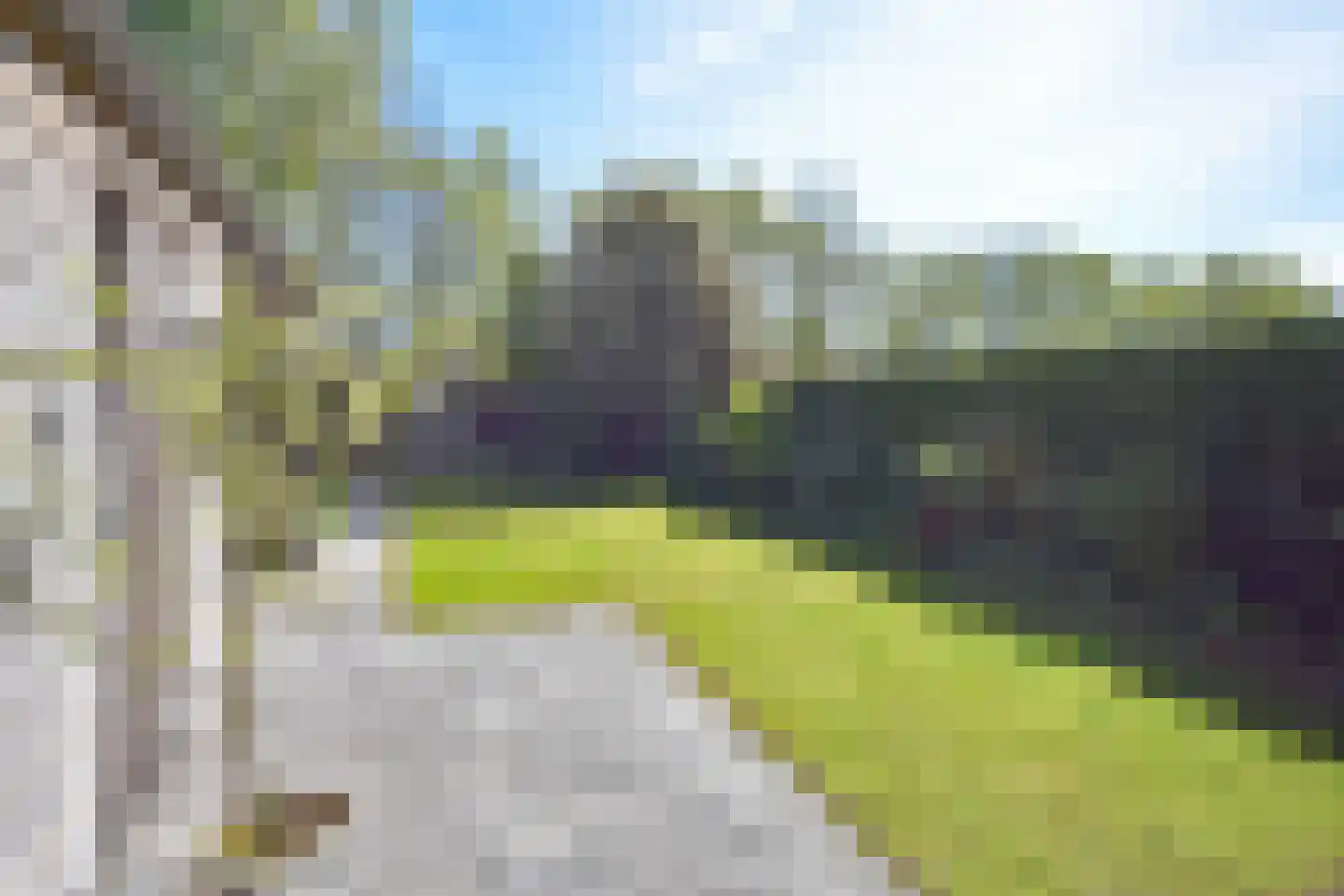 Wettermunt 37 Burgum thumbnail 7