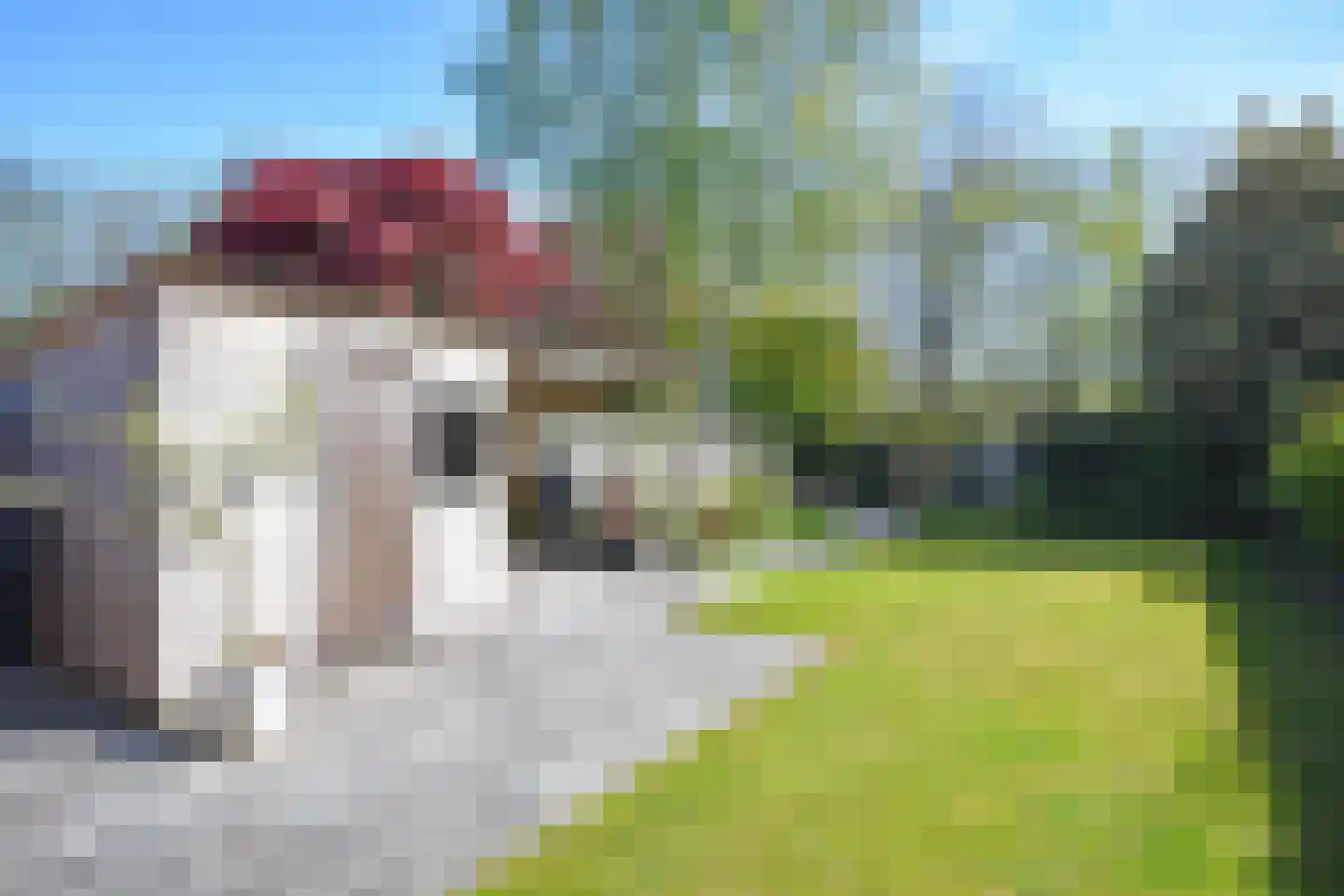 Wettermunt 37 Burgum thumbnail 8