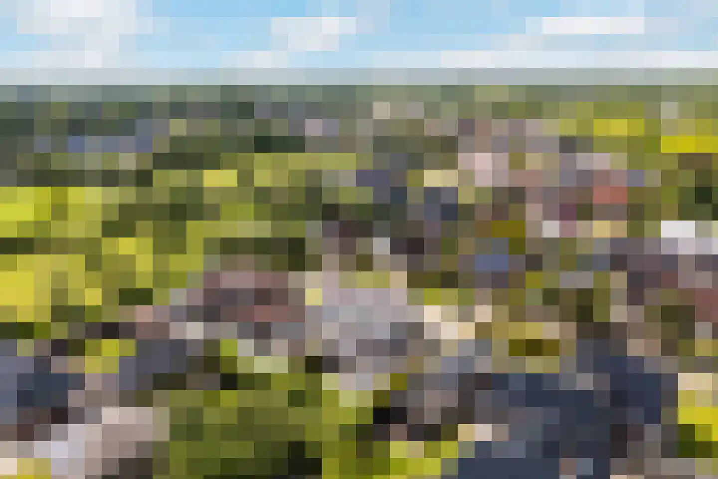 Wetterroas 1 Twijzelerheide thumbnail 52