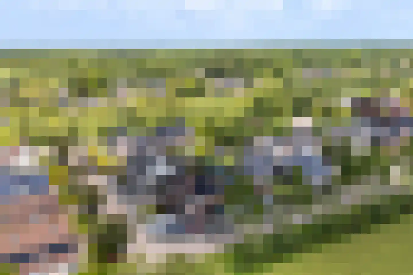 Wetterroas 1 Twijzelerheide thumbnail 53