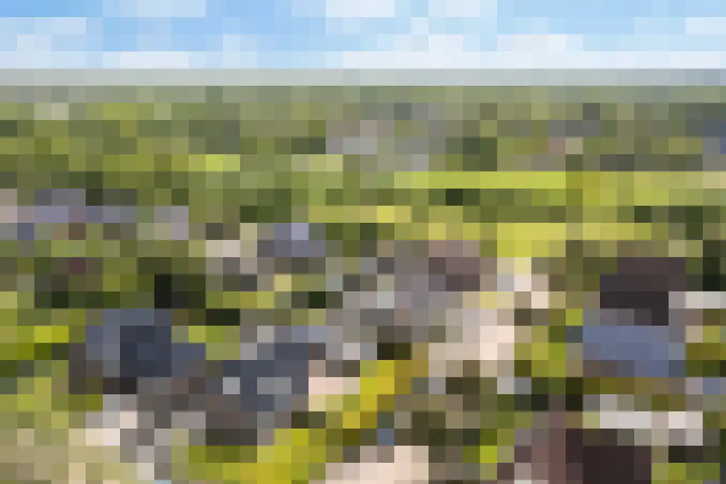 Wetterroas 1 Twijzelerheide thumbnail 54