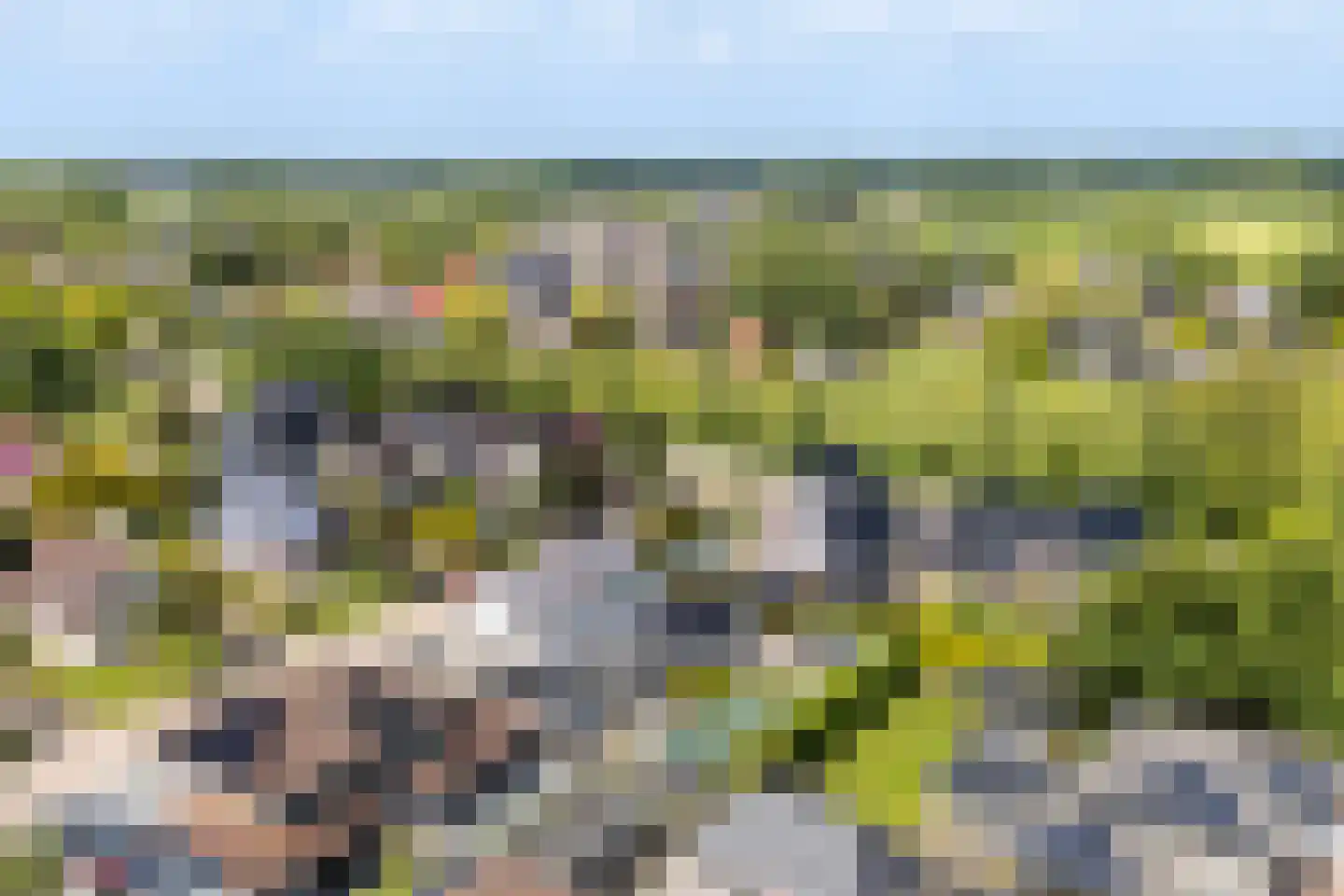 Wetterroas 1 Twijzelerheide thumbnail 55