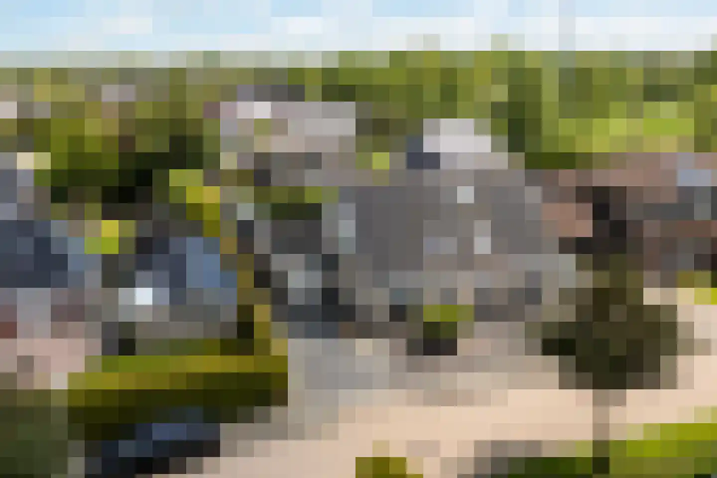 Wetterroas 1 Twijzelerheide thumbnail 7