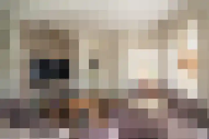 Wettersteinstraat 8 Delfzijl thumbnail 23