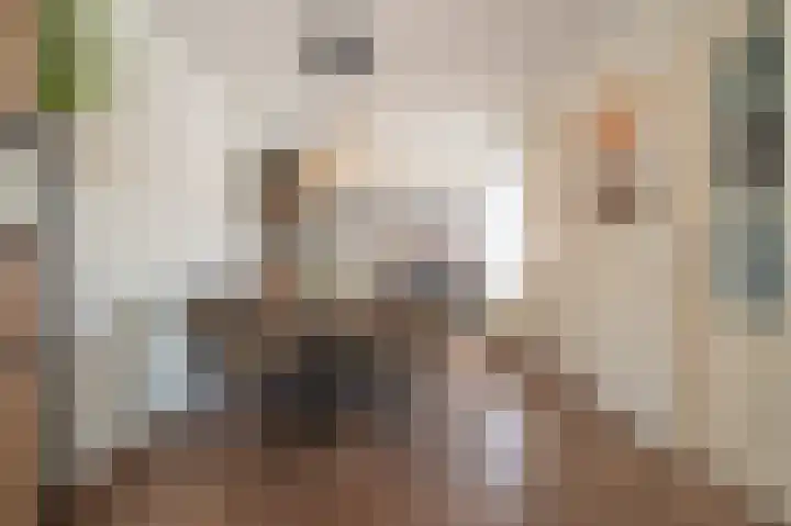 Wettersteinstraat 8 Delfzijl thumbnail 28