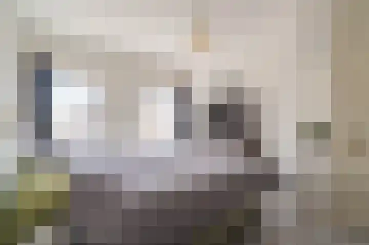 Wettersteinstraat 8 Delfzijl thumbnail 38