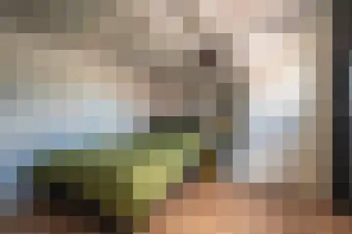 Wettersteinstraat 8 Delfzijl thumbnail 41