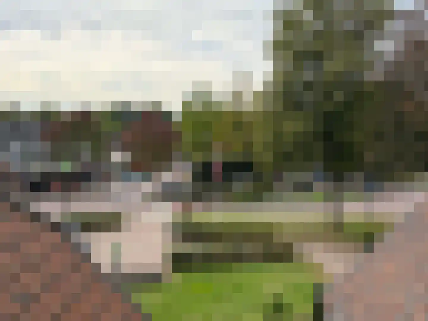 Wettringerlaan 17 Dalen thumbnail 27