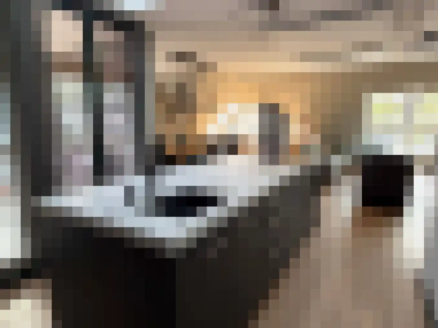 Wettringerlaan 17 Dalen thumbnail 31