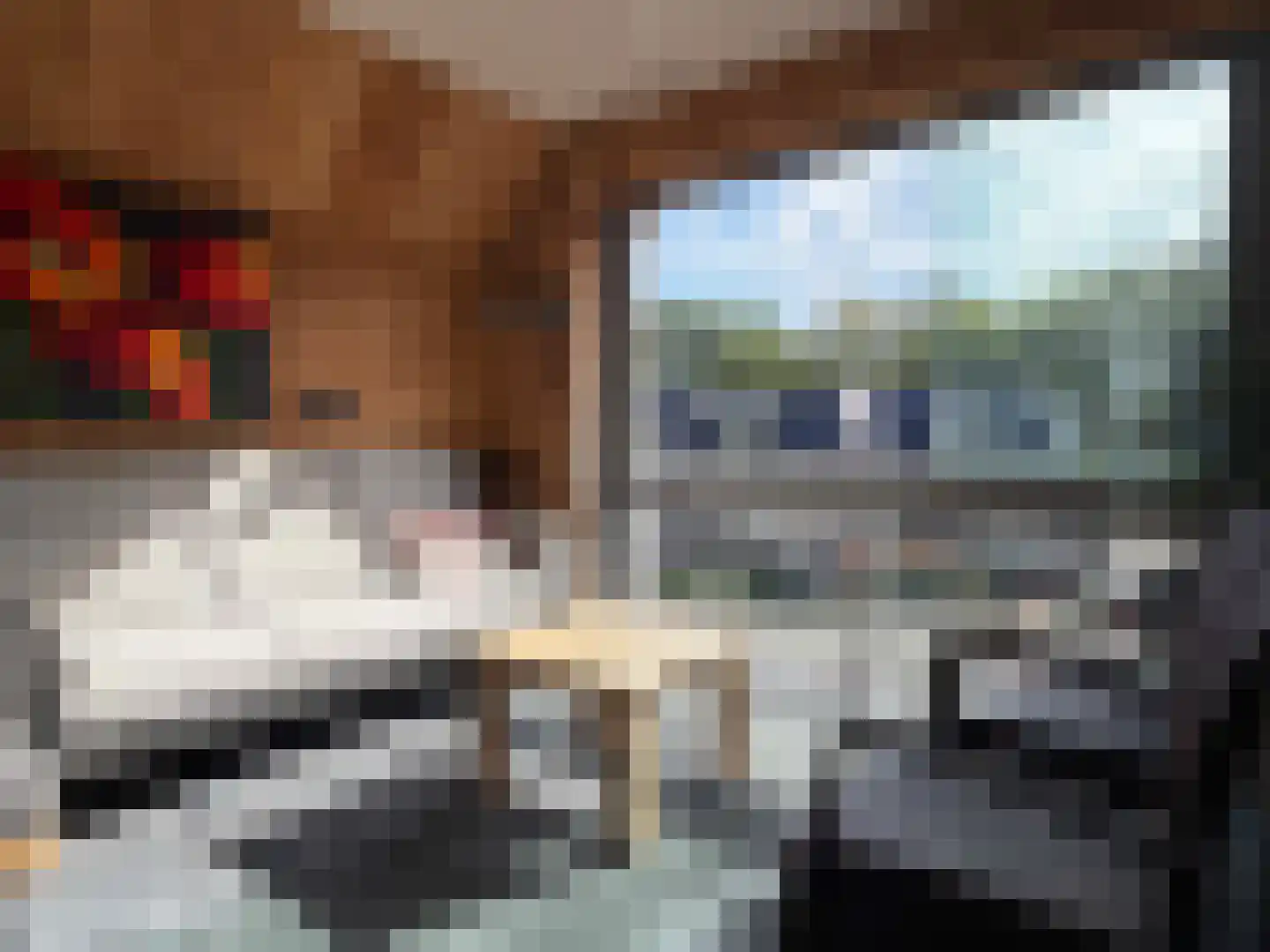 Wettringerlaan 17 Dalen thumbnail 33