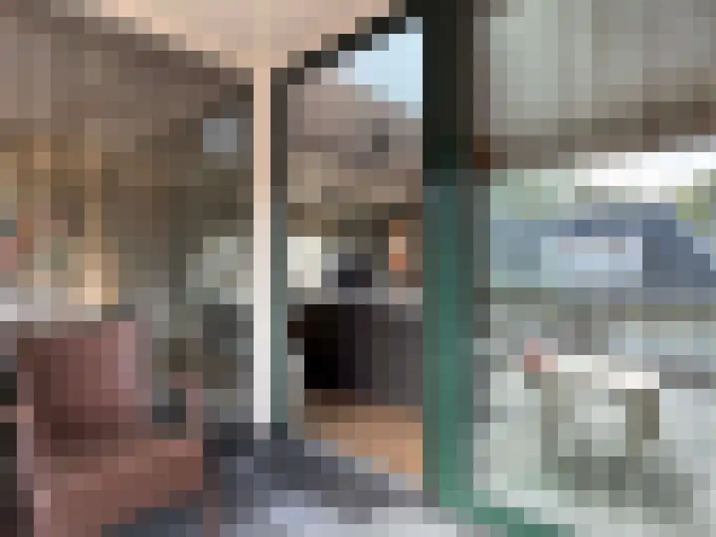 Wettringerlaan 17 Dalen thumbnail 37