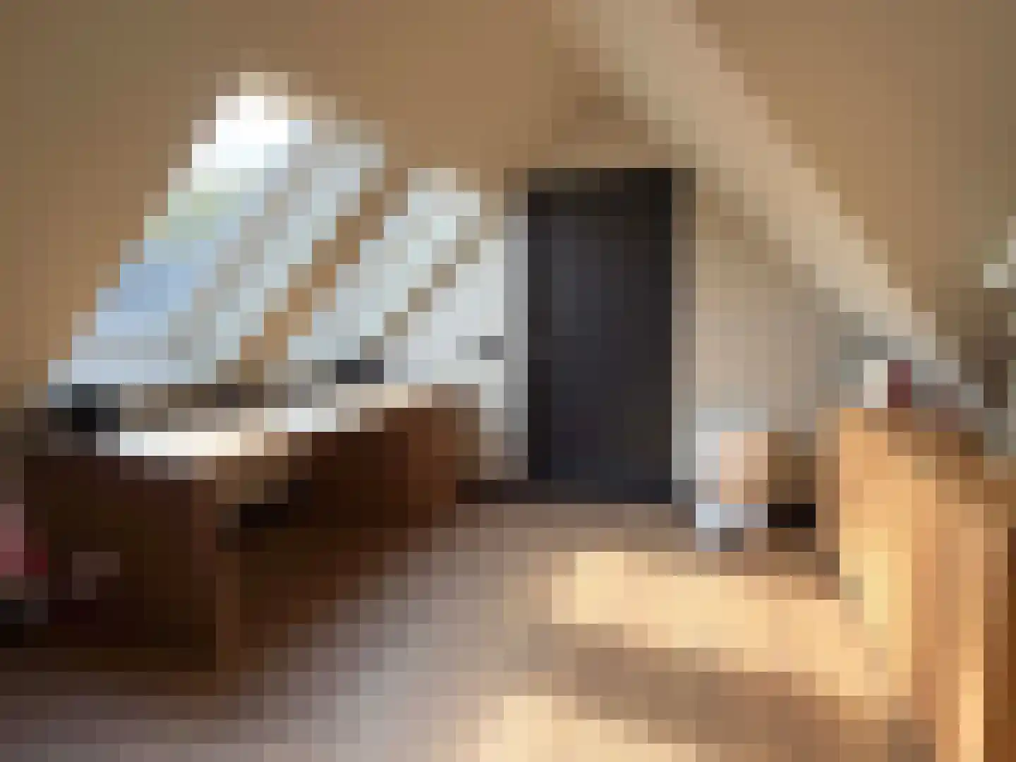 Wettringerlaan 17 Dalen thumbnail 38