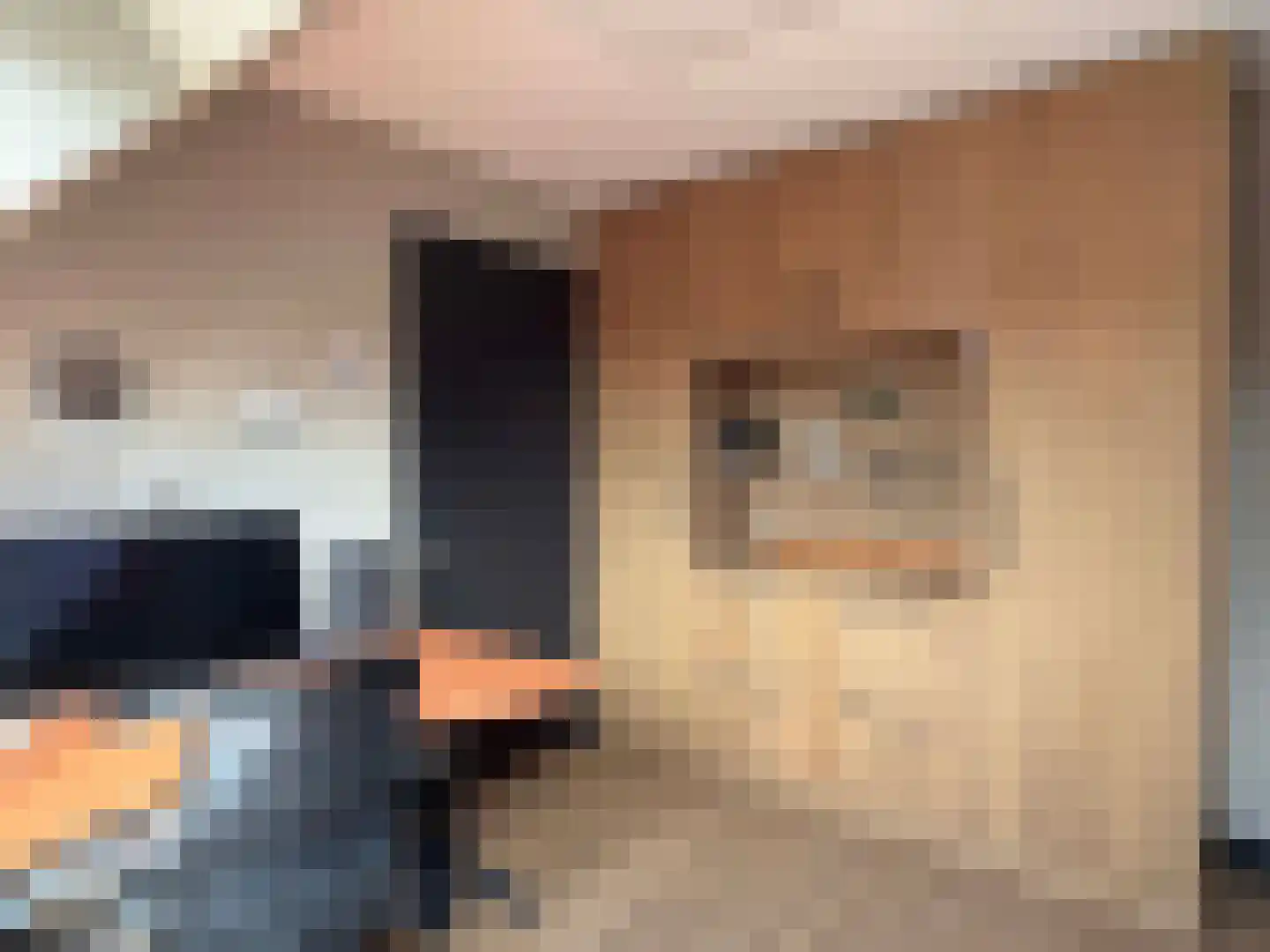 Wettringerlaan 17 Dalen thumbnail 41
