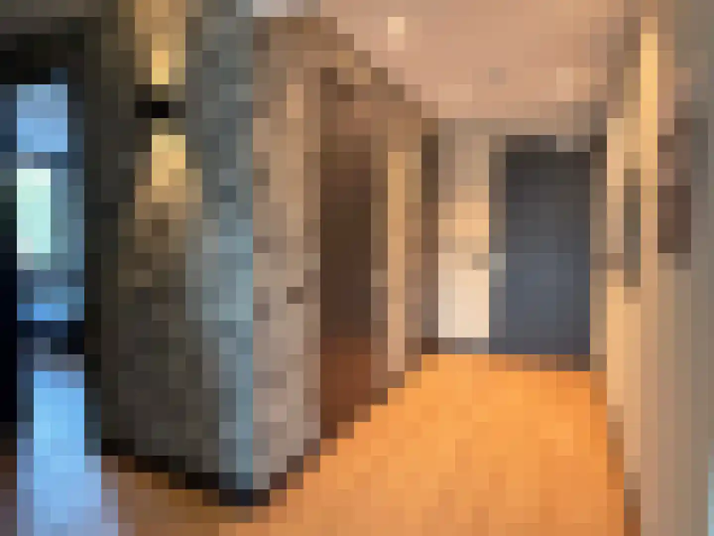 Wettringerlaan 17 Dalen thumbnail 43