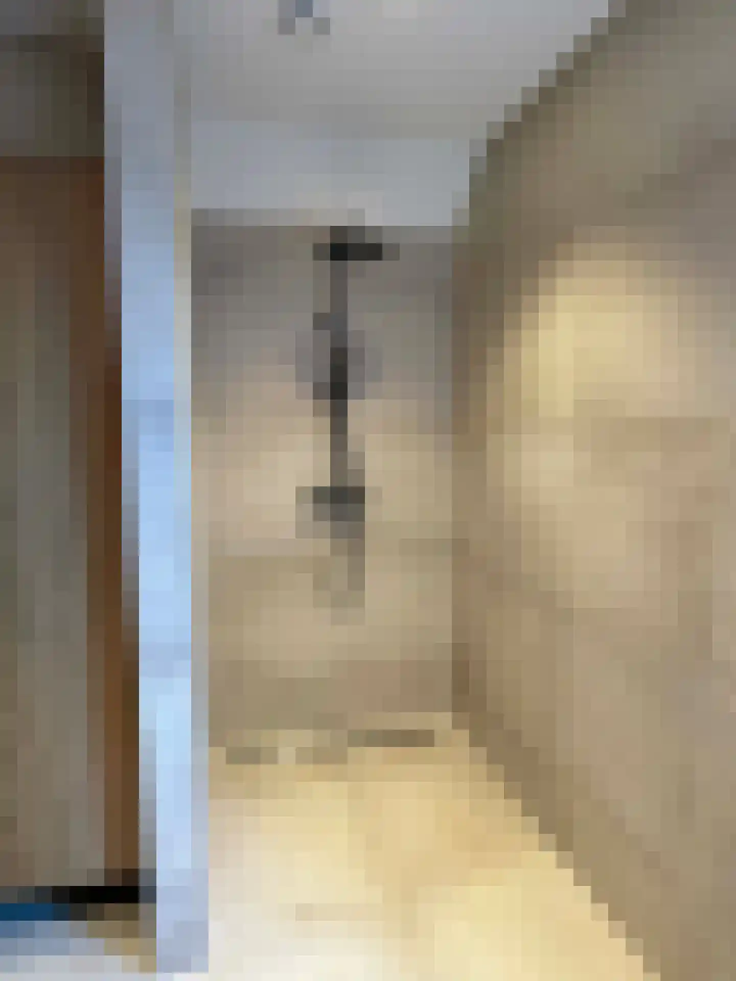 Wettringerlaan 17 Dalen thumbnail 47
